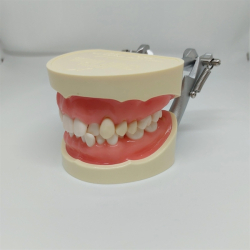 Instruktionsmodel til Tandbrstning 